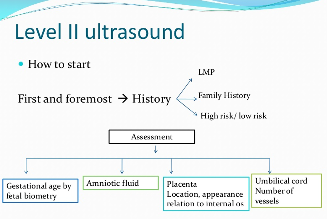 Level 2 Obstetric Ultrasound